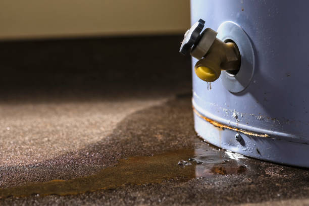 Best 24-hour water damage restoration  in Jackson, AL
