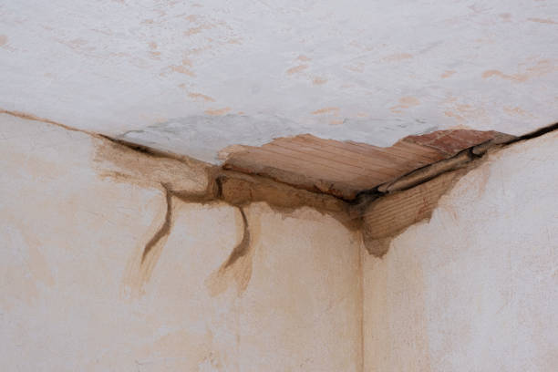 Best Water damage restoration services  in Jackson, AL