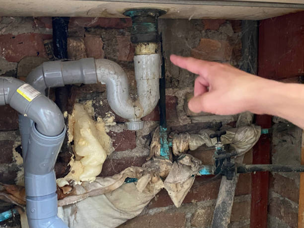 Best Professional water damage repair  in Jackson, AL