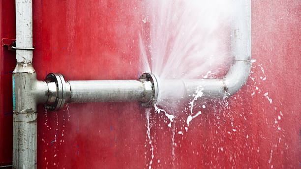 Best Flood damage cleanup  in Jackson, AL